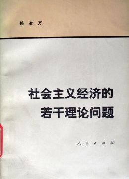 《社会主义经济的若干理论问题》