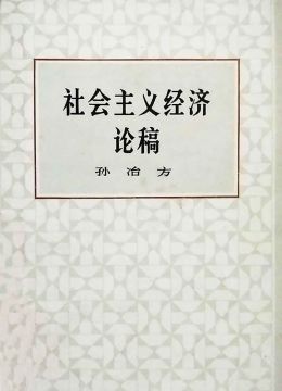 《社会主义经济论稿》