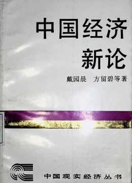 《中国经济新论》