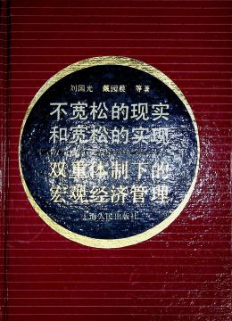 《不宽松的现实和宽松的实现 双重体制下的宏观经济管理》