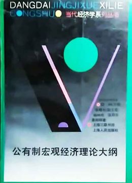 《公有制宏观经济理论大纲》
