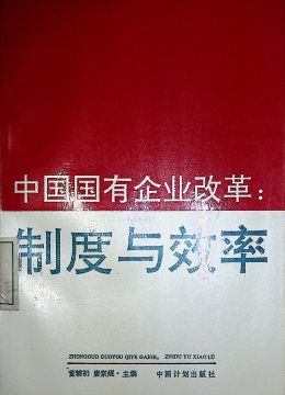 《中国国有企业改革：制度与效率》
