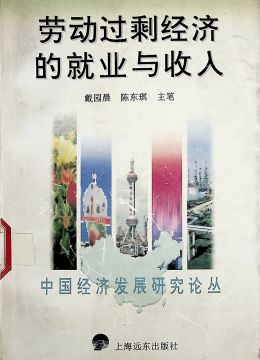 《劳动过剩经济的就业与收入》