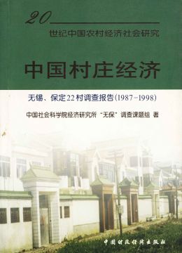 《中国村庄经济》