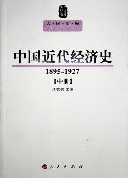 《中国近代经济史（1895-1927）》 中册