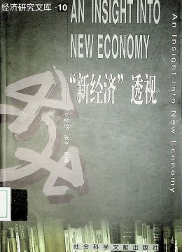 《“新经济”透视》