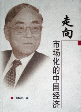 《走向市场化的中国经济》
