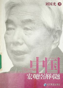 《中国宏观经济问题》