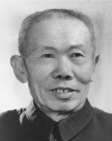 杨坚白
